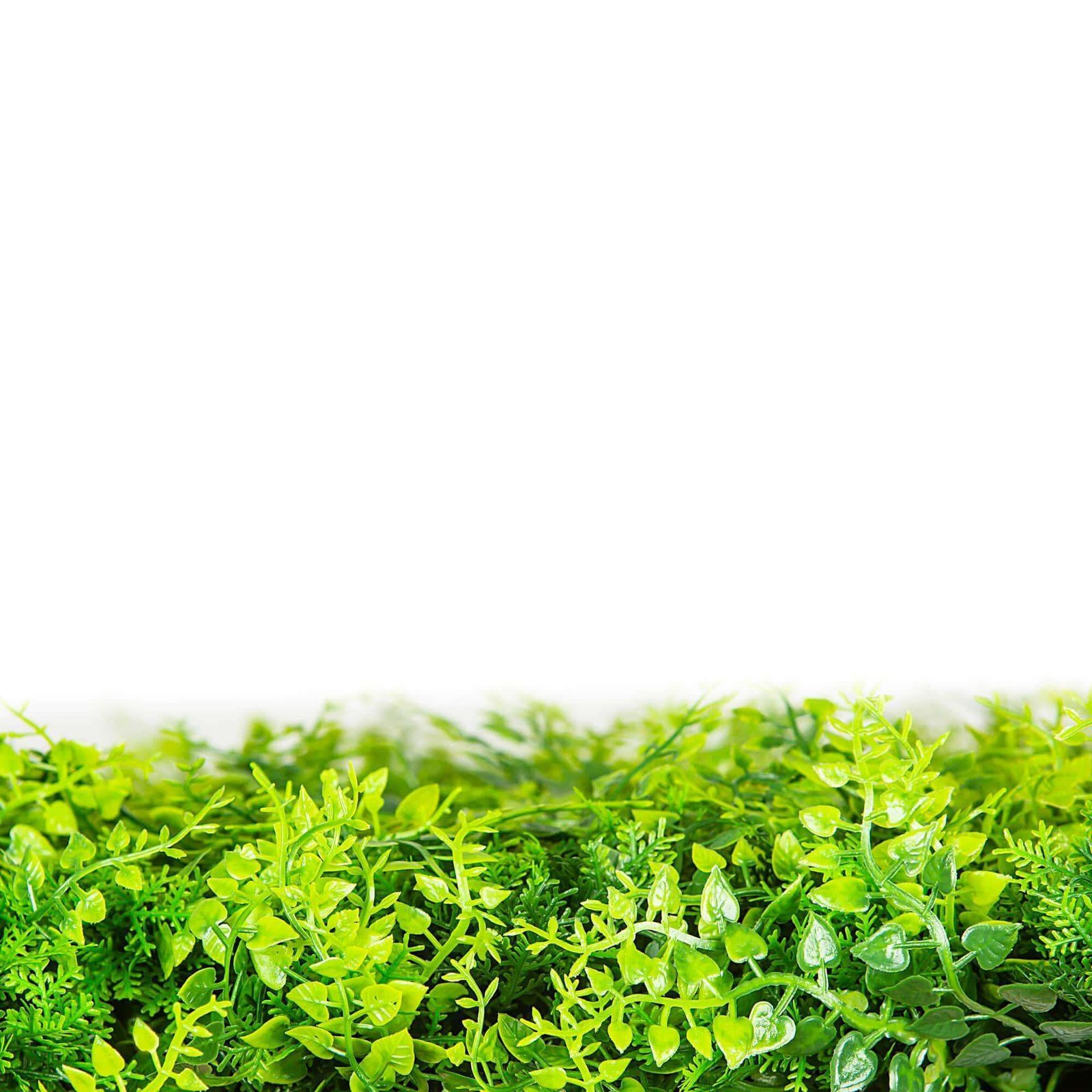 Luxury Dense Fern Vertical Garden Green Wall Panel 1m x 1m – SGS UV Resistant - Image 3