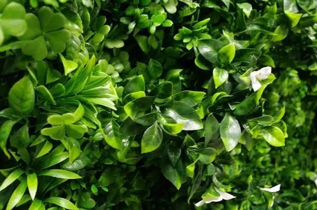 Group 1 Fire Certified - Luxury White Lily Vertical Garden / Green Wall UV Resistant 1m x 1m - Image 4